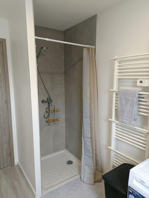 Appartement Entier F3 Renove - Petite Pause A Селеста Экстерьер фото