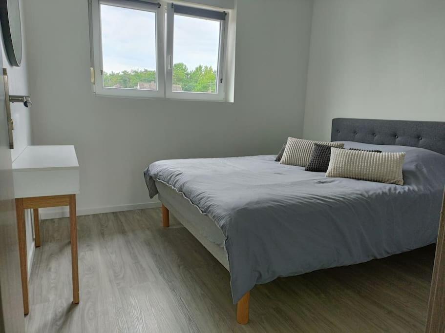 Appartement Entier F3 Renove - Petite Pause A Селеста Экстерьер фото