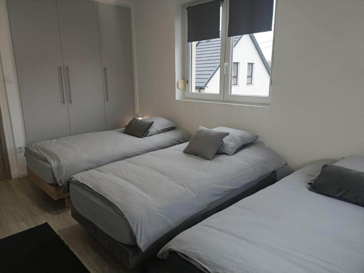 Appartement Entier F3 Renove - Petite Pause A Селеста Экстерьер фото
