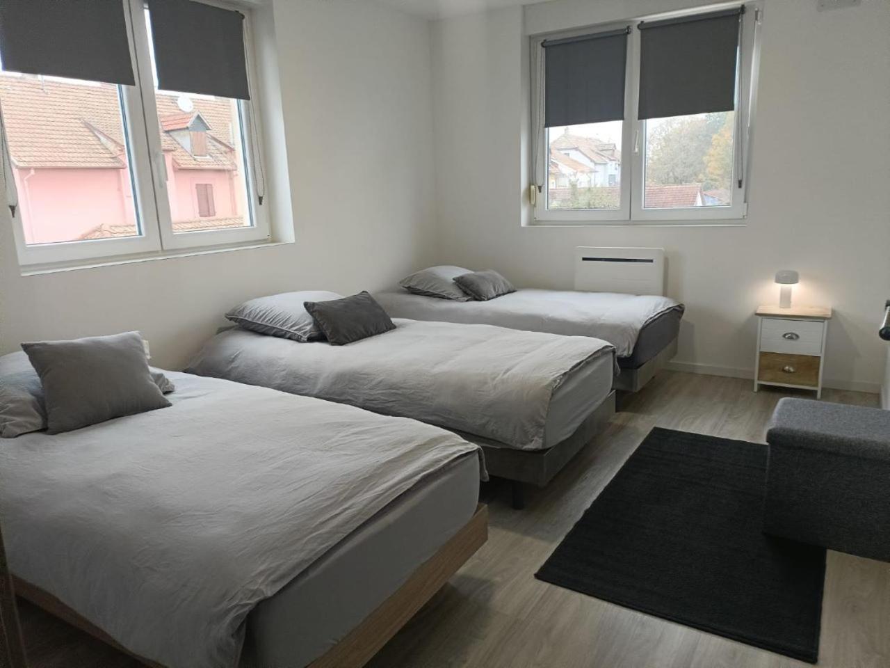 Appartement Entier F3 Renove - Petite Pause A Селеста Экстерьер фото